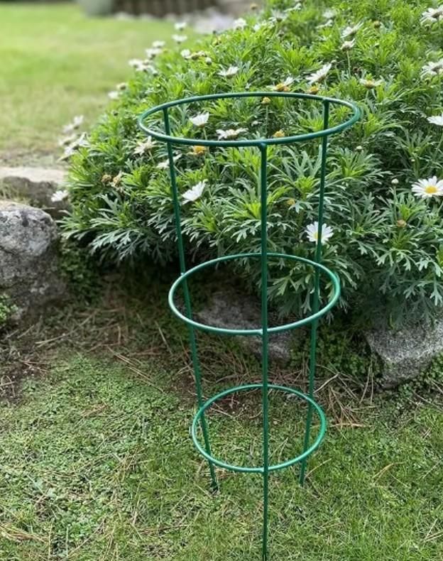 Plant Support Cage (3 Layer)