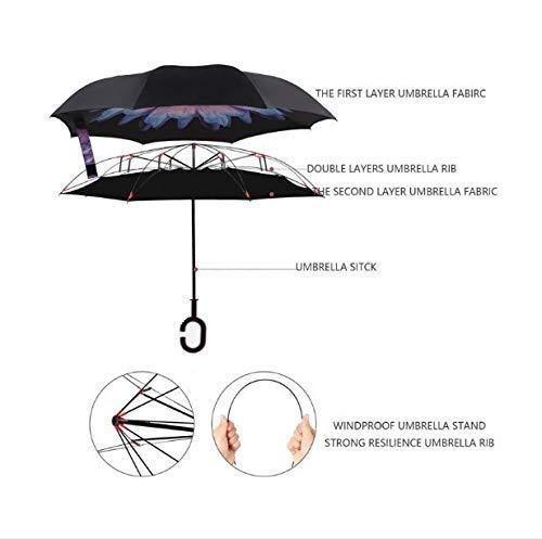 Reversible Double-Layer Umbrella